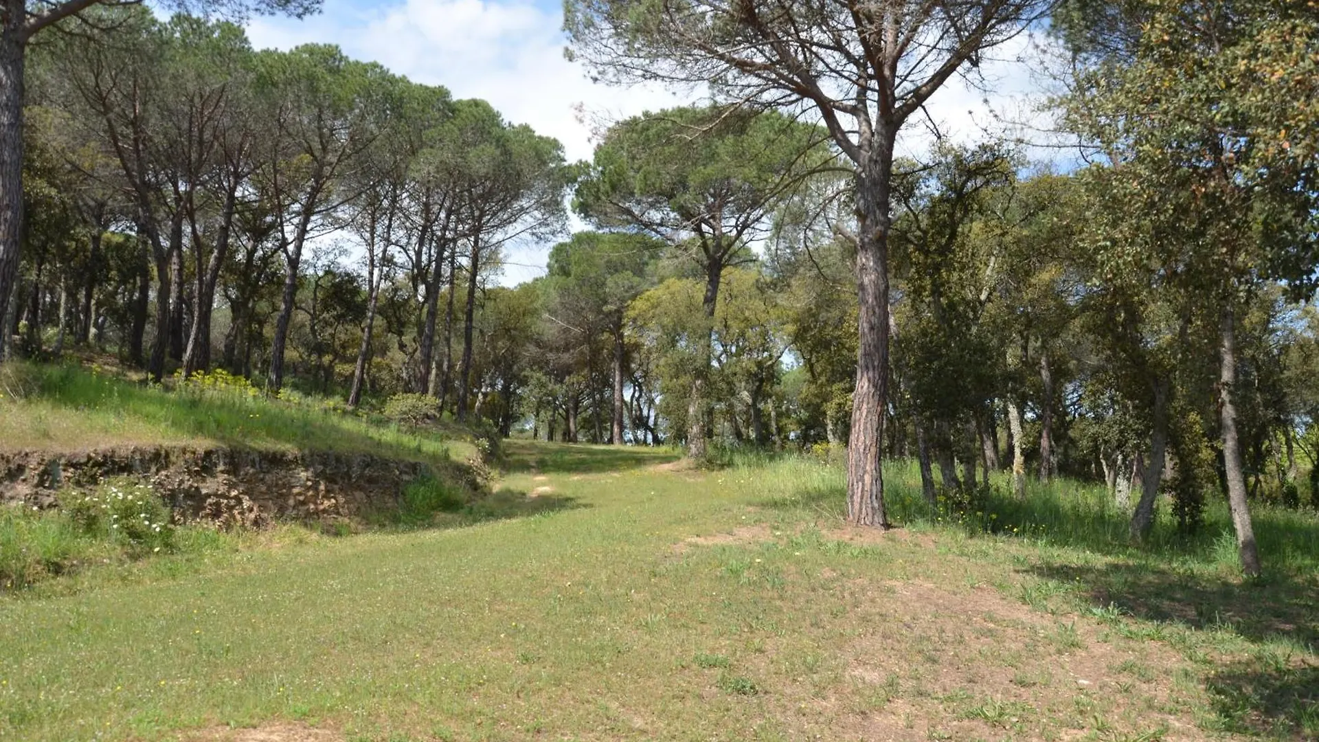 Moli D'En Tarres Vila Santa Cristina d'Aro Espanha